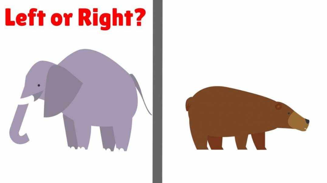 Let's Learn the Directions Left and Right 学习左右