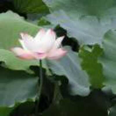 实验学前2班28号文子艺 