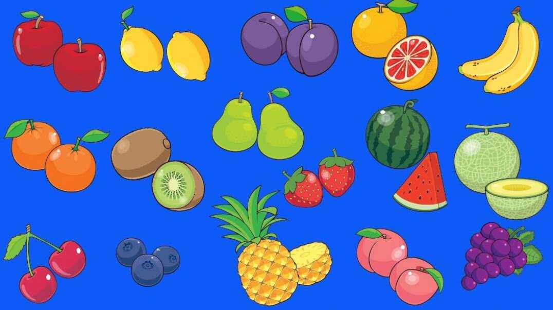 Fruit Vocabulary 水果词汇