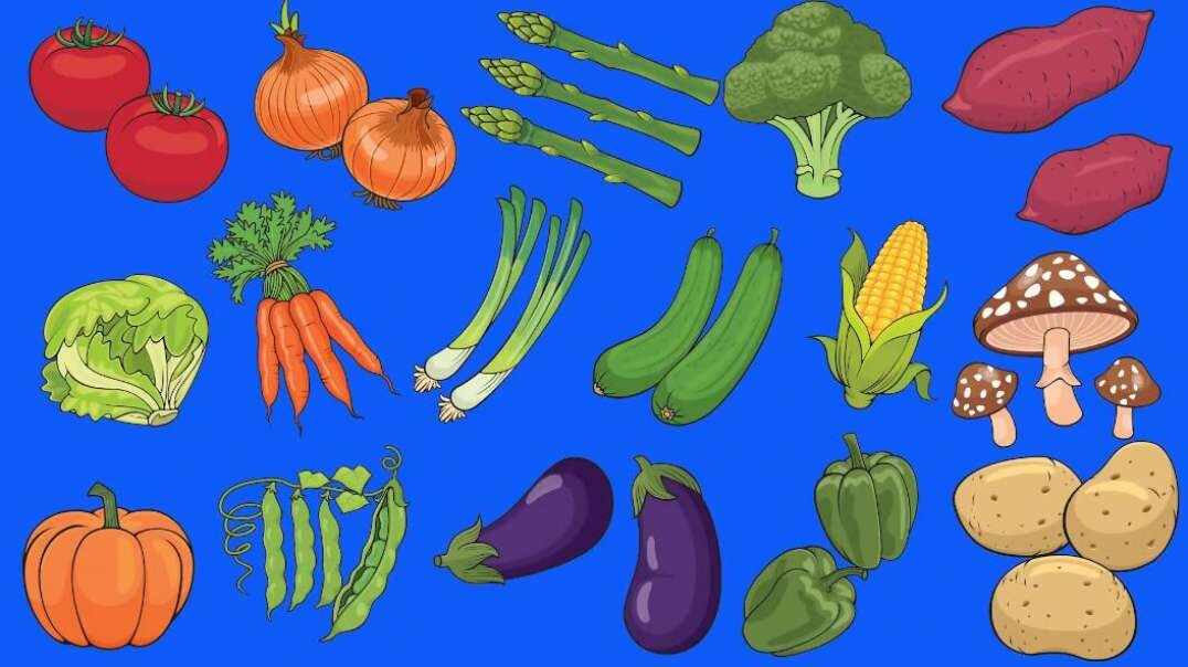 Vegetables 蔬菜词汇