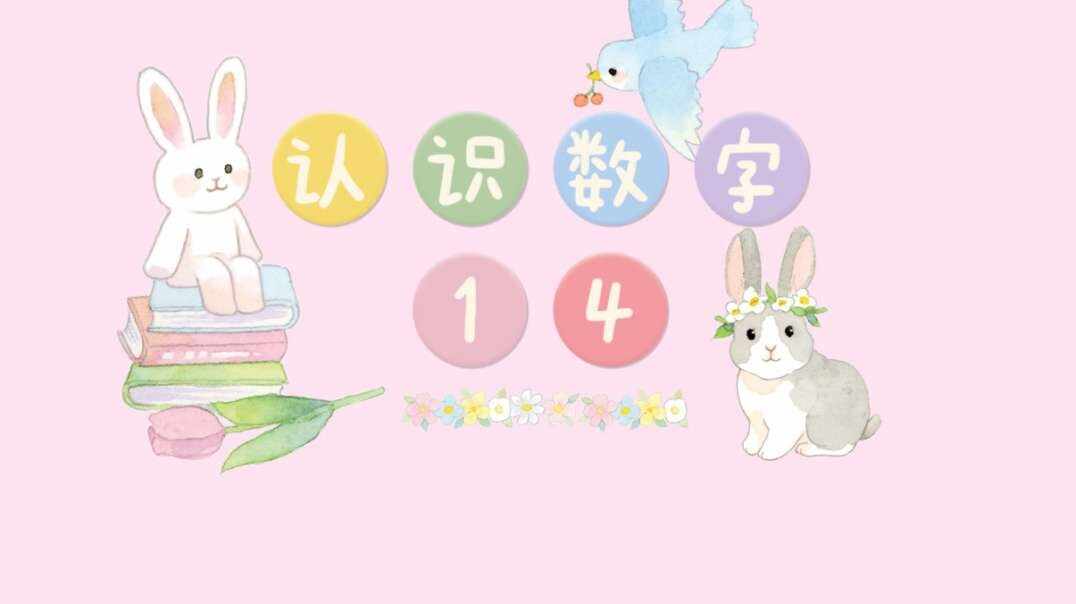 认识数字14.MOV