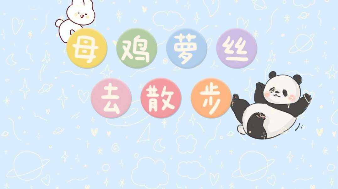 母鸡萝丝去散步.MOV