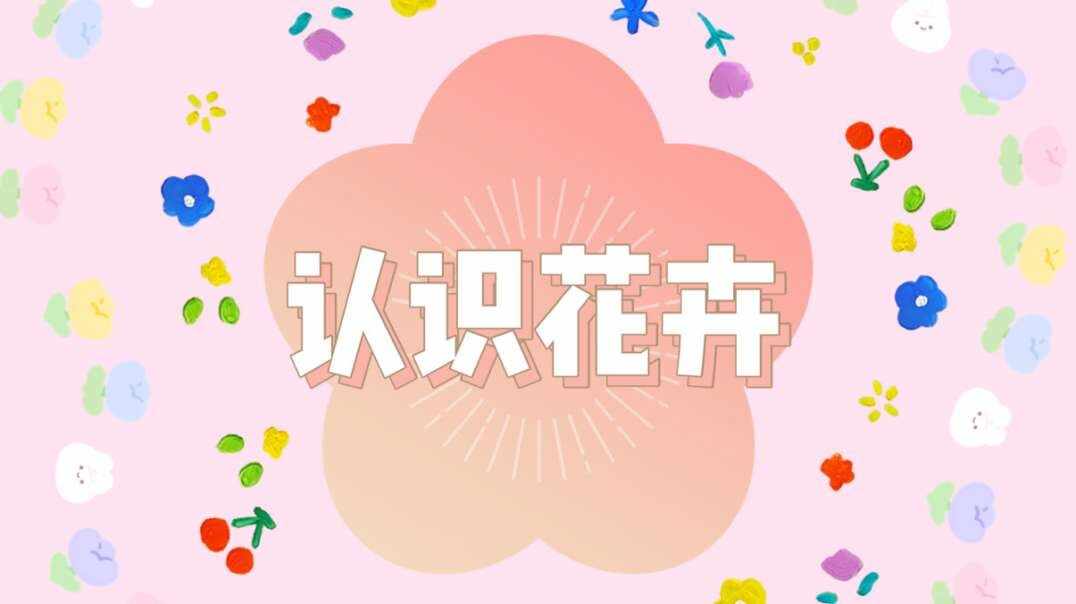 认识花卉.MOV