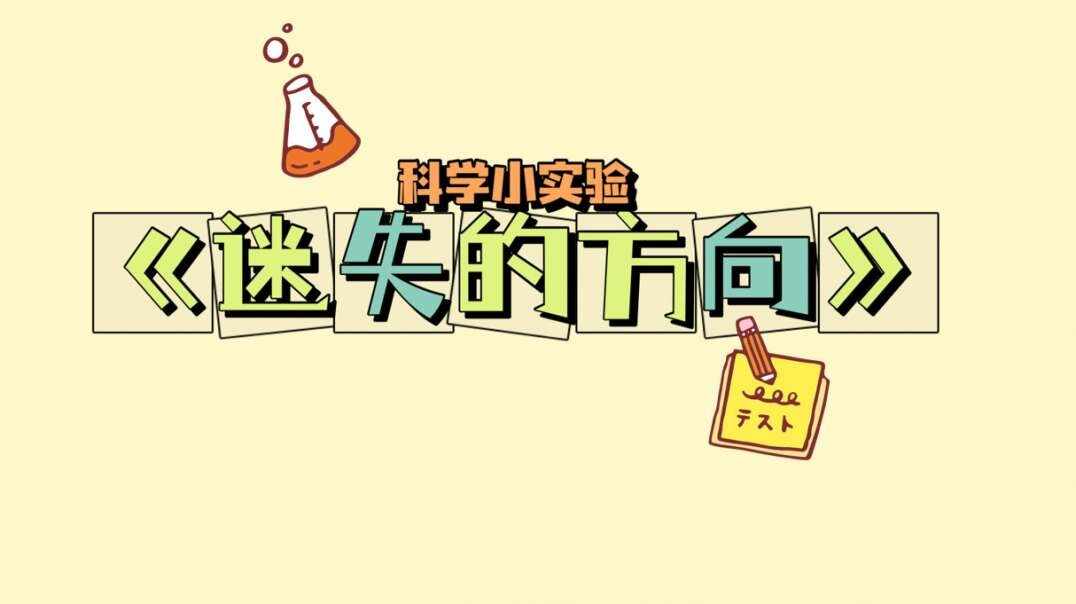 科学小实验《迷失的方向》.MOV