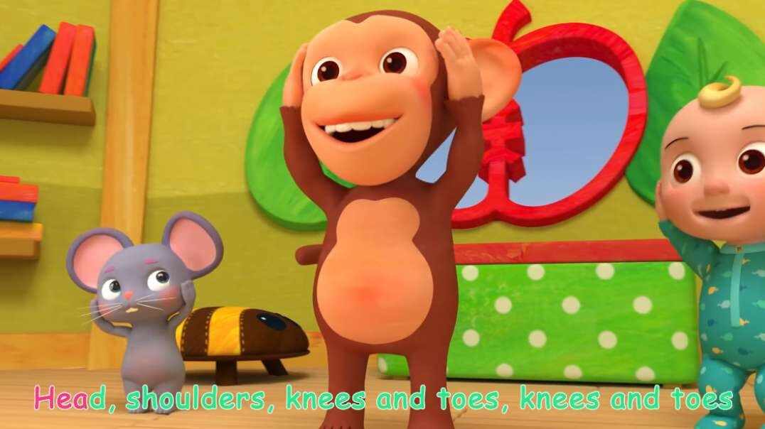 【英文儿歌】Head Shoulders Knees&Toes 头肩膝盖和脚趾
