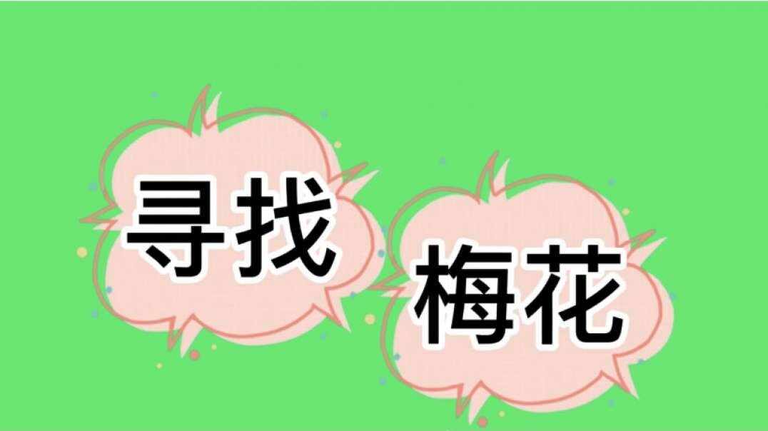 神秘文化符号博物馆——研学活动：寻找梅花（三岁组）