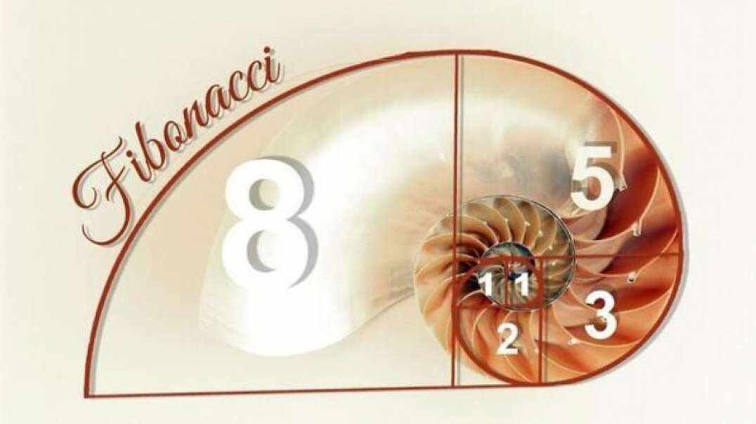 神秘符号博物馆——研学活动：斐波拉契数列的文学作品与影视作品（6岁组）