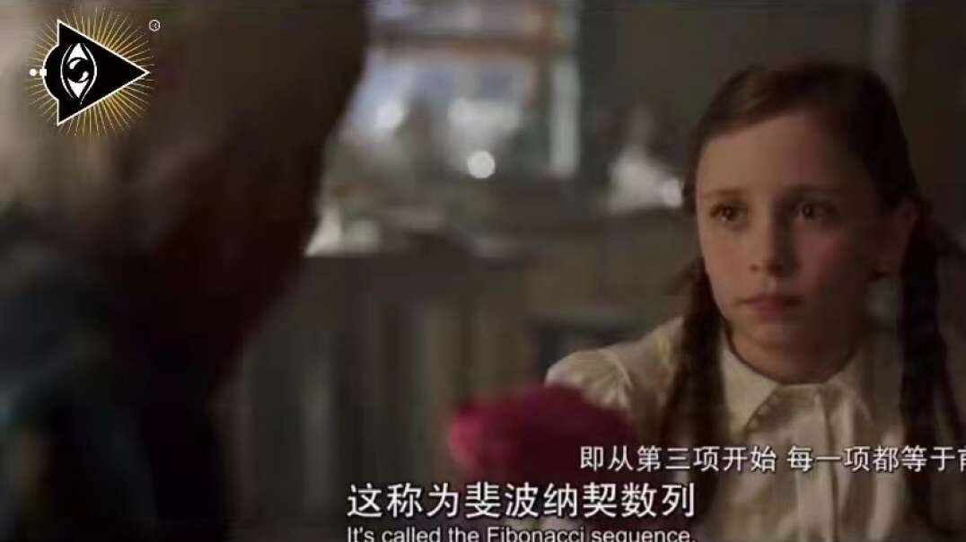神秘符号博物馆—研学活动：斐波那契数列影视作品（5岁组）