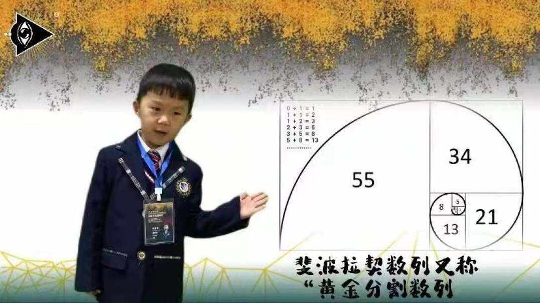 神秘符号博物馆——研学活动：介绍斐波拉契数列（5岁组）