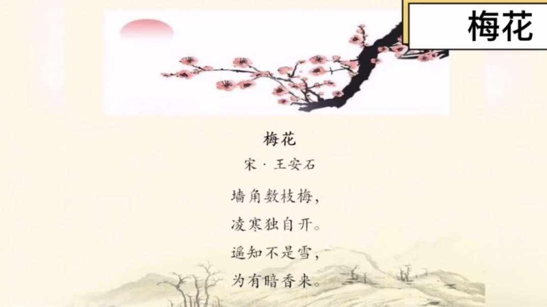神秘文化符号博物馆——研学活动：古诗《梅花》