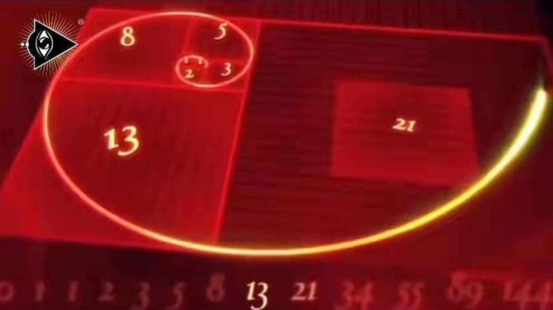 神秘符号博物馆—研学活动：斐波那契数列之美（5岁组）