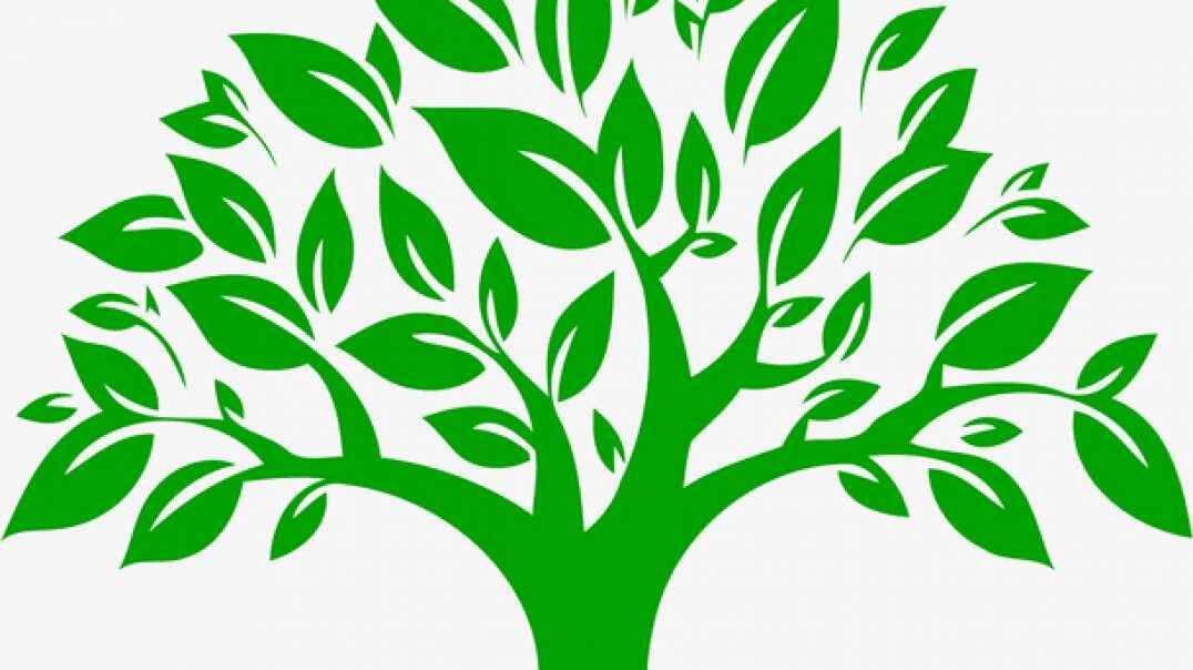 神秘符号博物馆——研学活动《生命树》（6岁组）