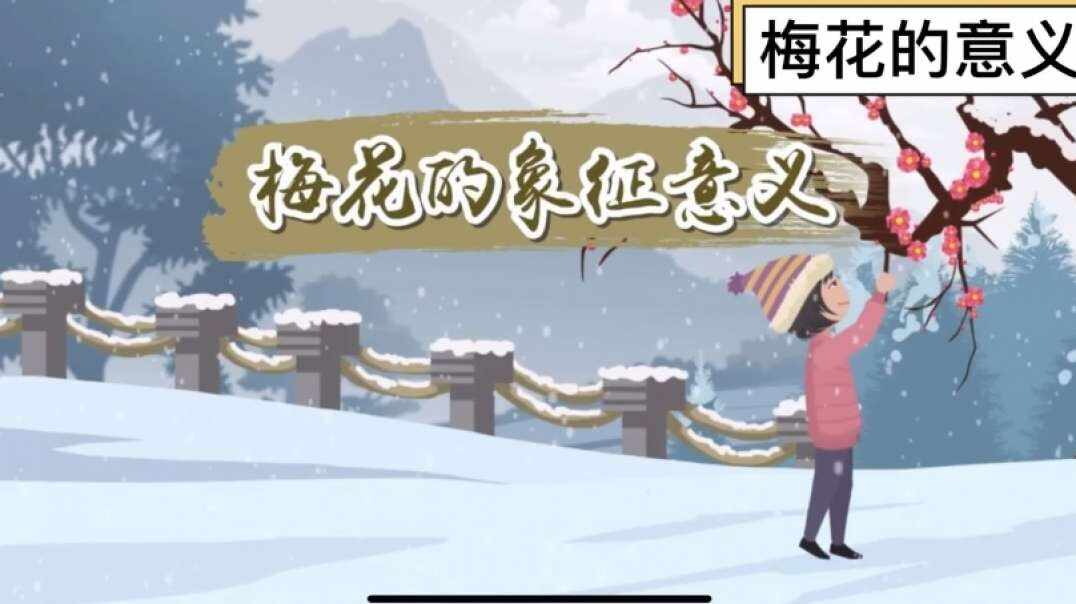 神秘文化符号博物馆——研学活动：梅花的象征意义