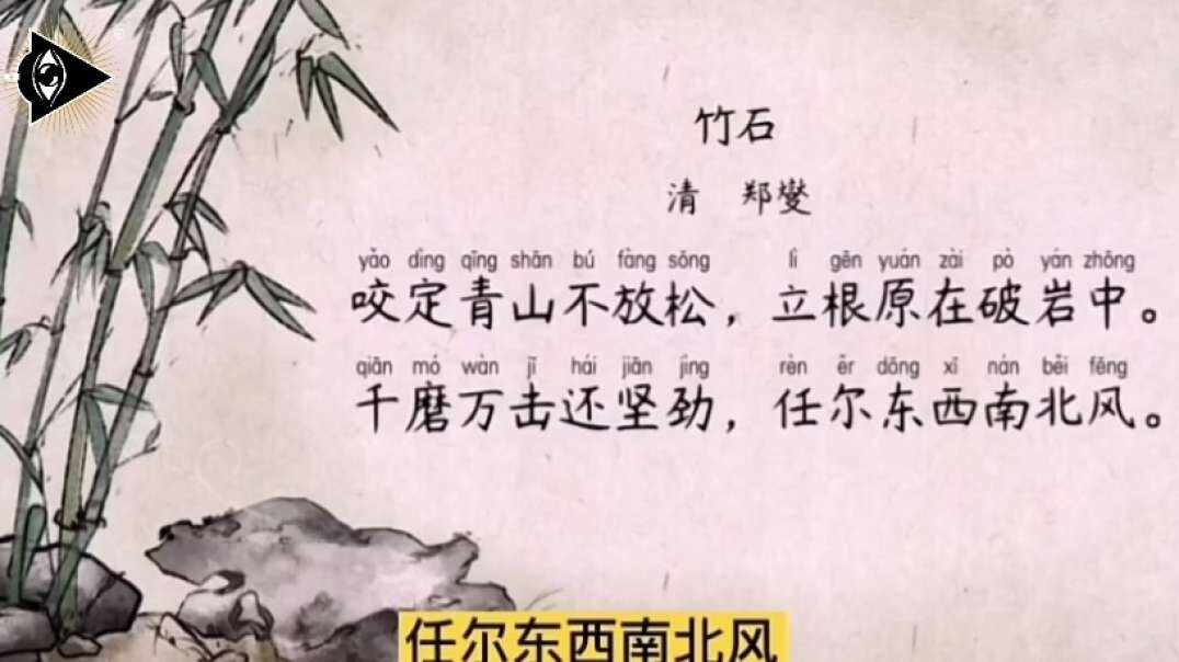 神秘符号博物馆——研学活动：文学作品《竹石》（5岁组）