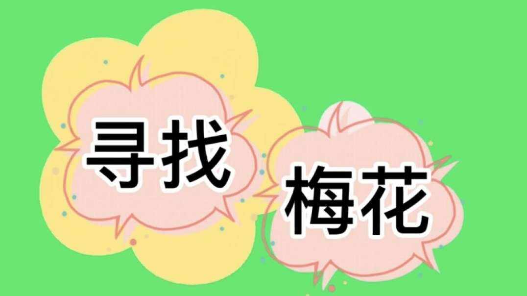 神秘文化符号博物馆——研学活动：寻找梅花