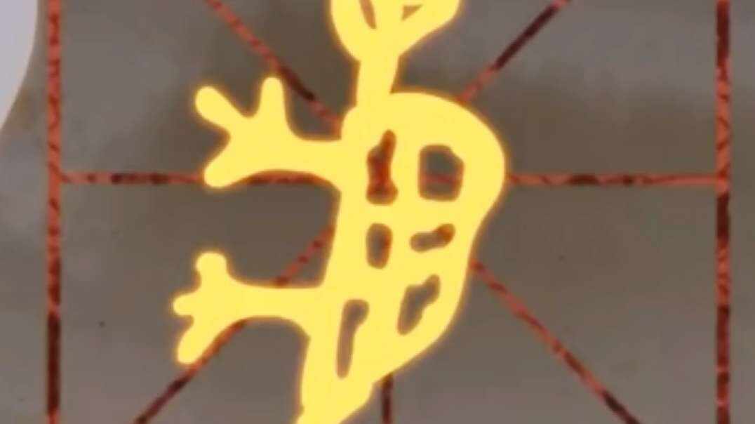 神秘符号博物馆——研学活动：龟的拓展（6岁组）