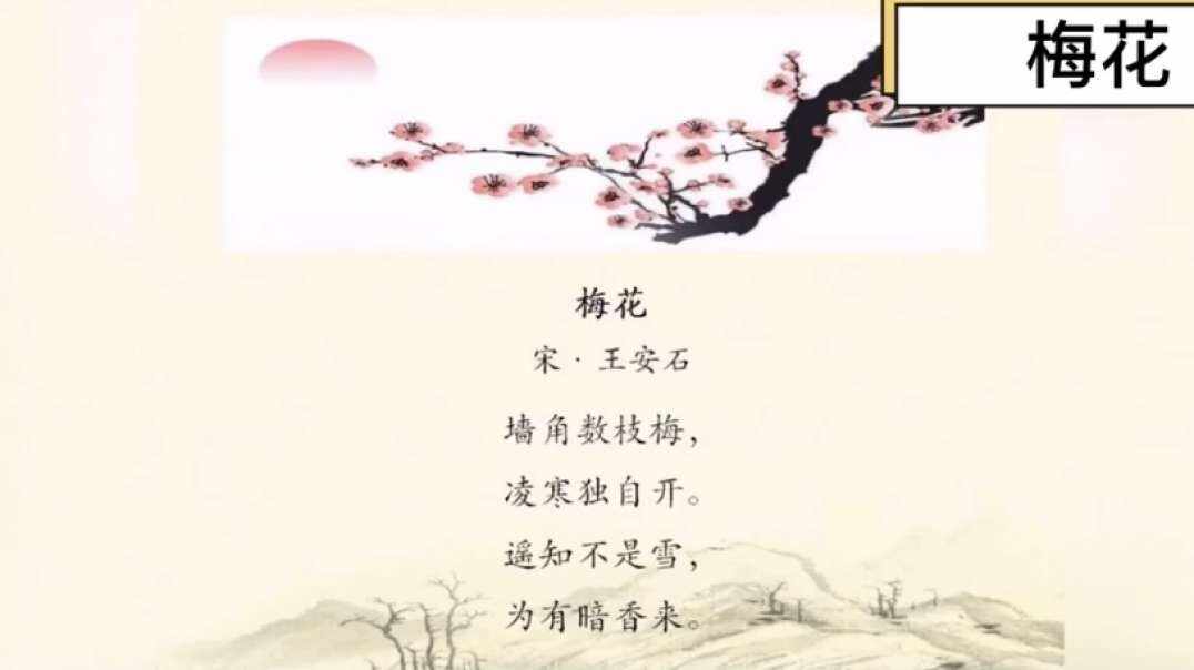 神秘文化符号博物馆——研学活动：古诗《梅花》（三岁组）