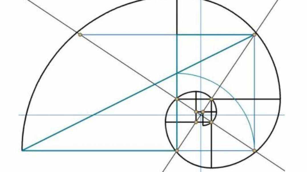 神秘符号博物馆——研学活动：斐波拉契数列之黄金螺旋曲线（6岁组）