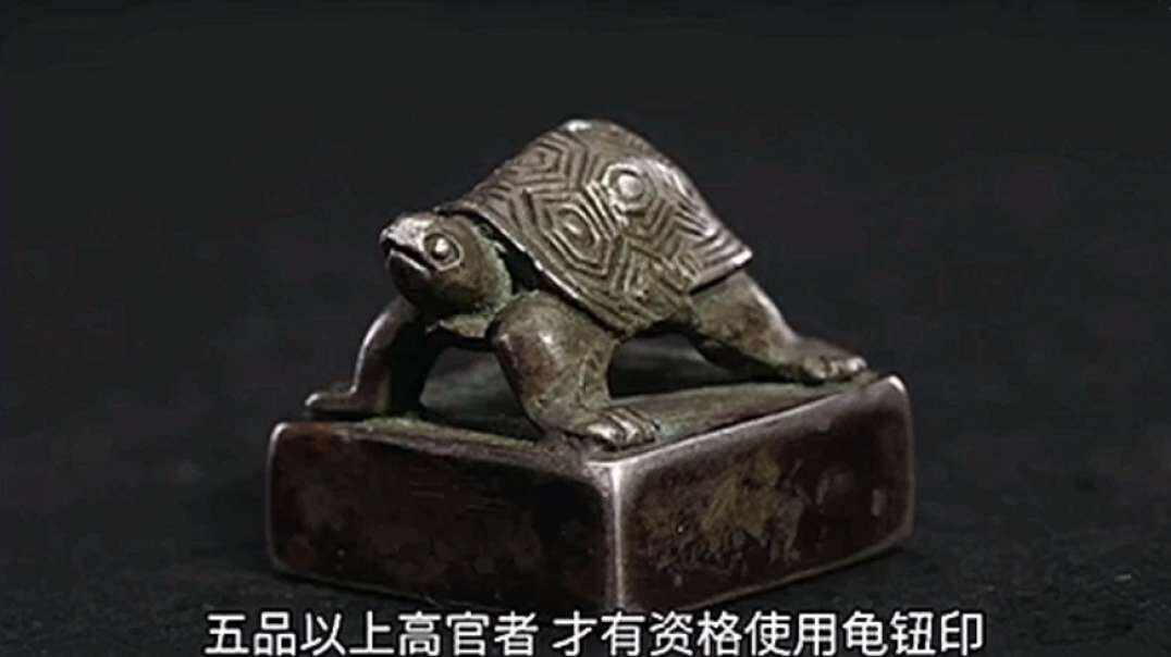 神秘符号博物馆——研学活动：《龟》科学意义(6岁组）