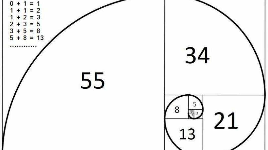 神秘符号博物馆——研学活动：斐波拉契数列（6岁组）