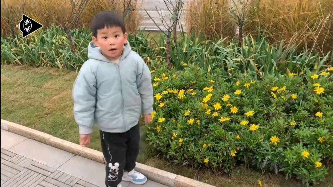 神秘符号博物馆——研学活动:寻找生活中的斐波拉契数列（5岁组）.mp4