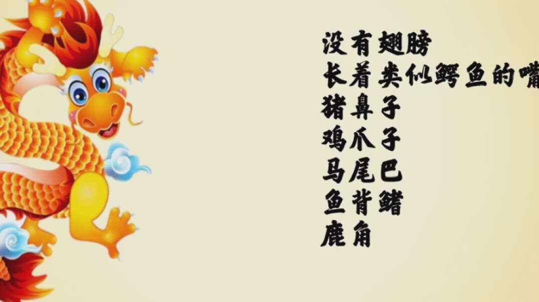 神秘文化符号博物馆——研学活动（龙的科学意义）（5-6岁组)