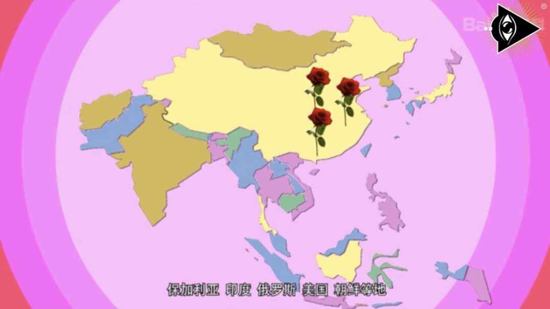 神秘符号博物馆—研学活动《玫瑰的介绍》6岁组
