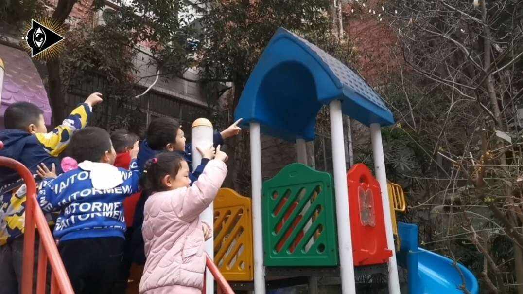 神秘符号博物馆——研学活动：寻找校园里的玉兰花（5岁组）.mp4