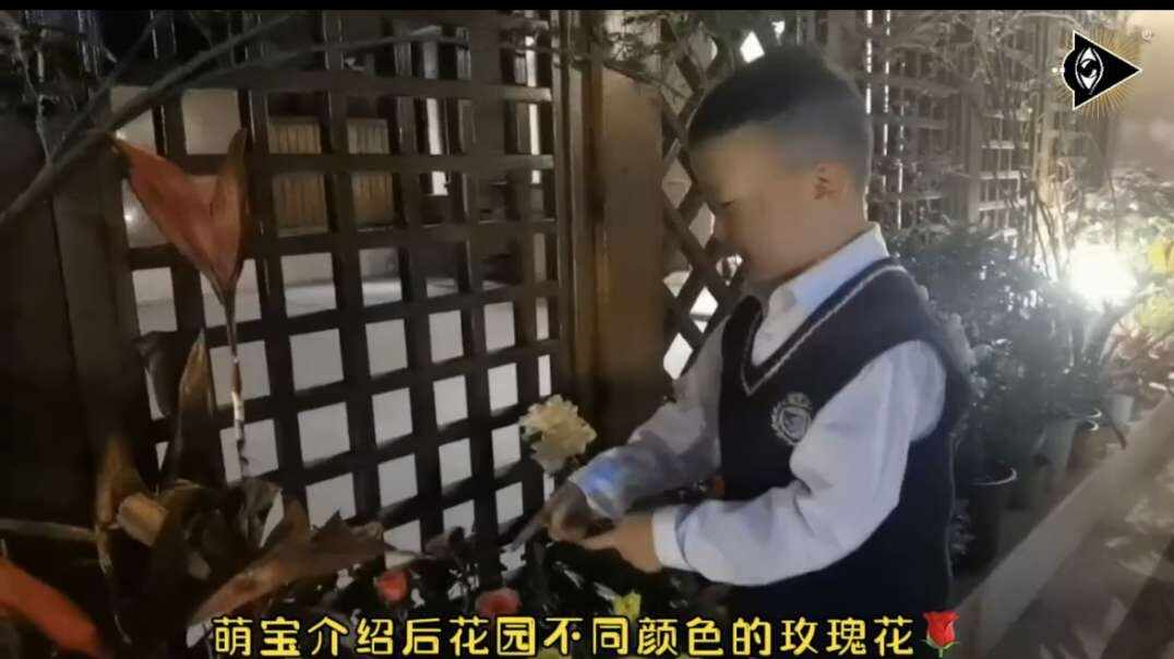 神秘符号博物馆—研学活动《生活中的玫瑰花》6岁组