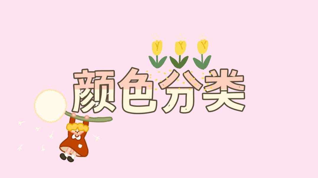 颜色分类.MOV