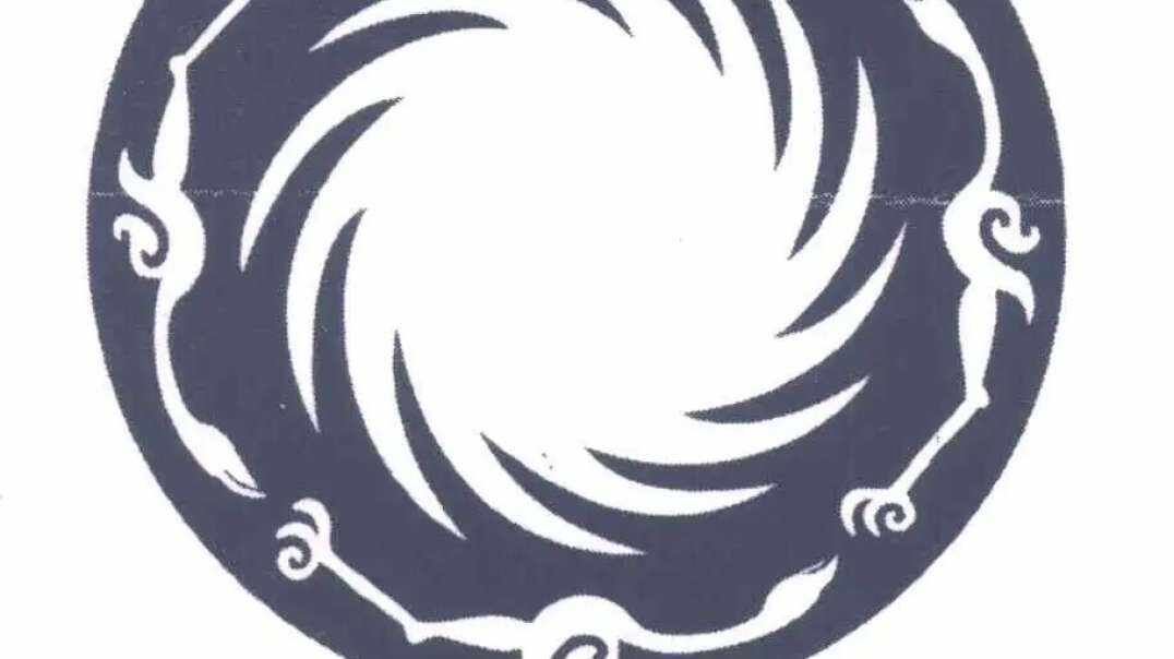 ⁣神秘符号博物馆—研学活动：太阳神鸟寓意和象征
