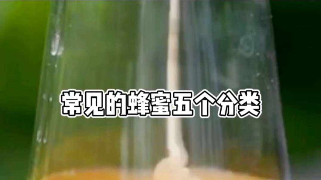 神秘符号博物馆—研学活动:蜂蜜的分类.mp4