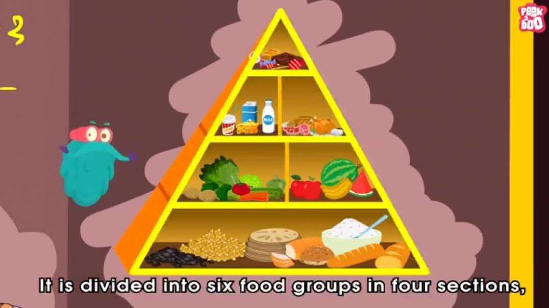 How Different Foods Affect Your Body 不同食物是如何影响你的身体的