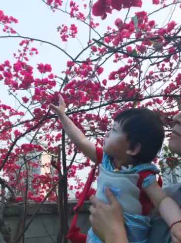 文汐成长记.mp4