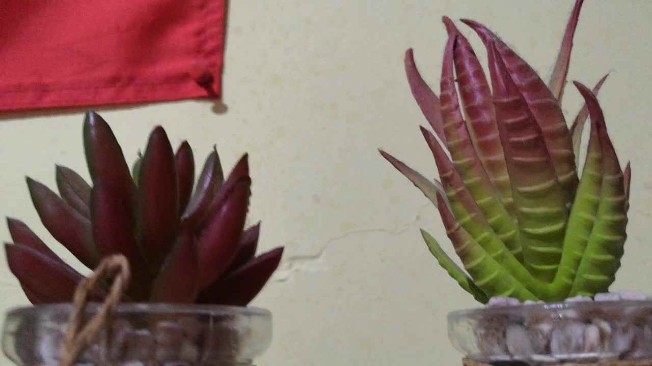 我的日常