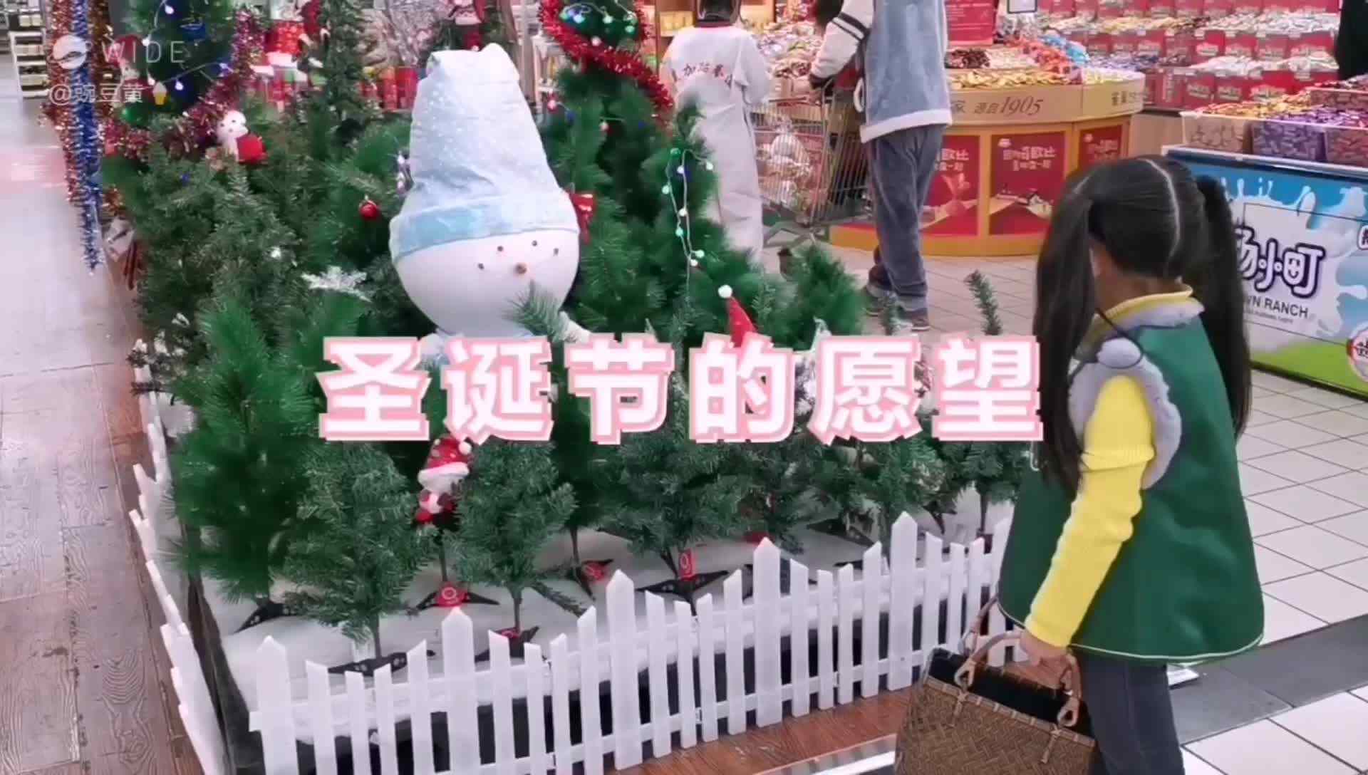 lv_0_20191216113119.mp4