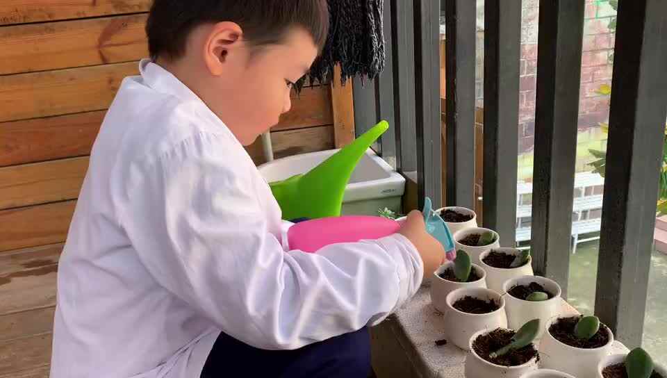 我们的植物角