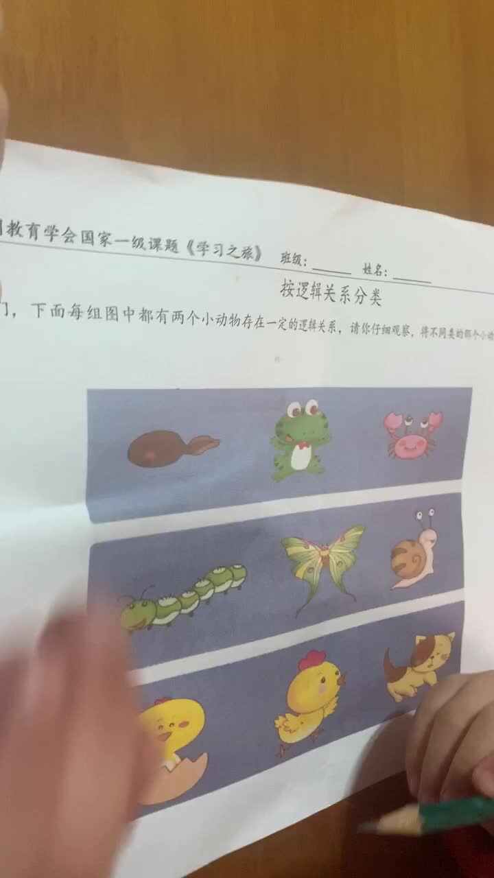 2019.12.05实验中班15号家庭作业反馈