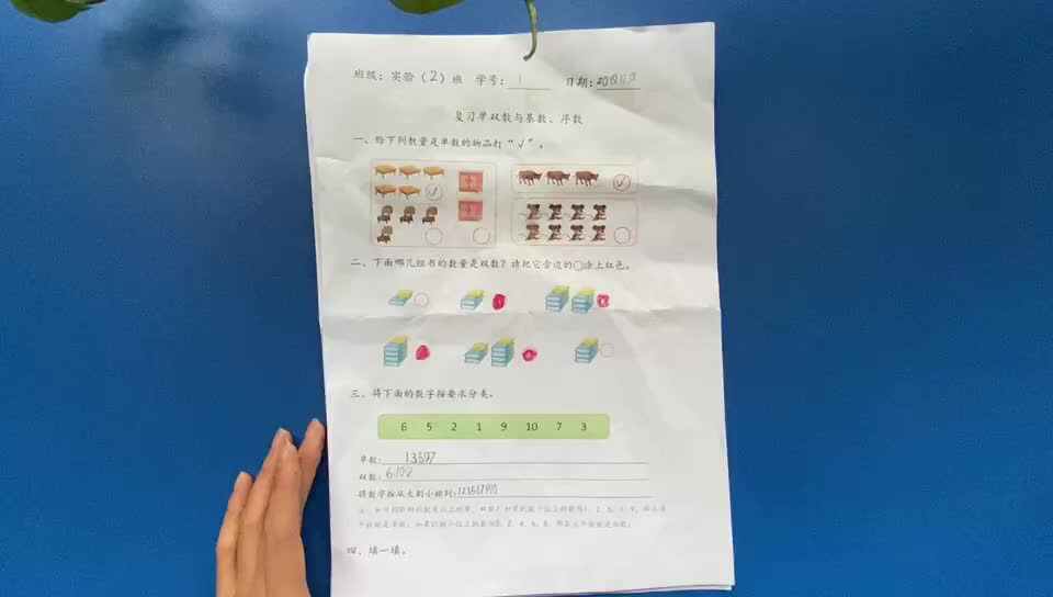 1号学习单反馈