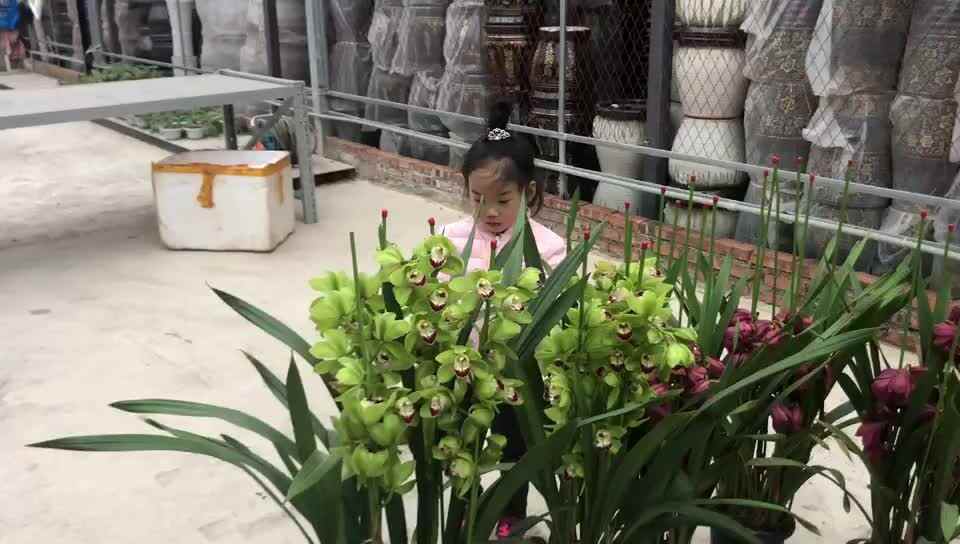 简单的快乐18