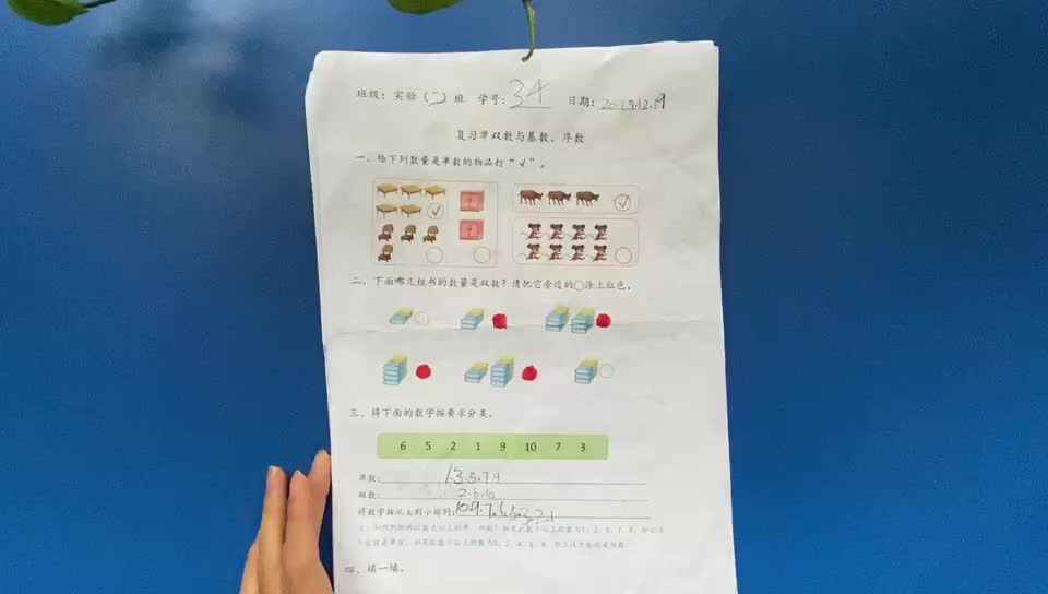 34号学习单反馈