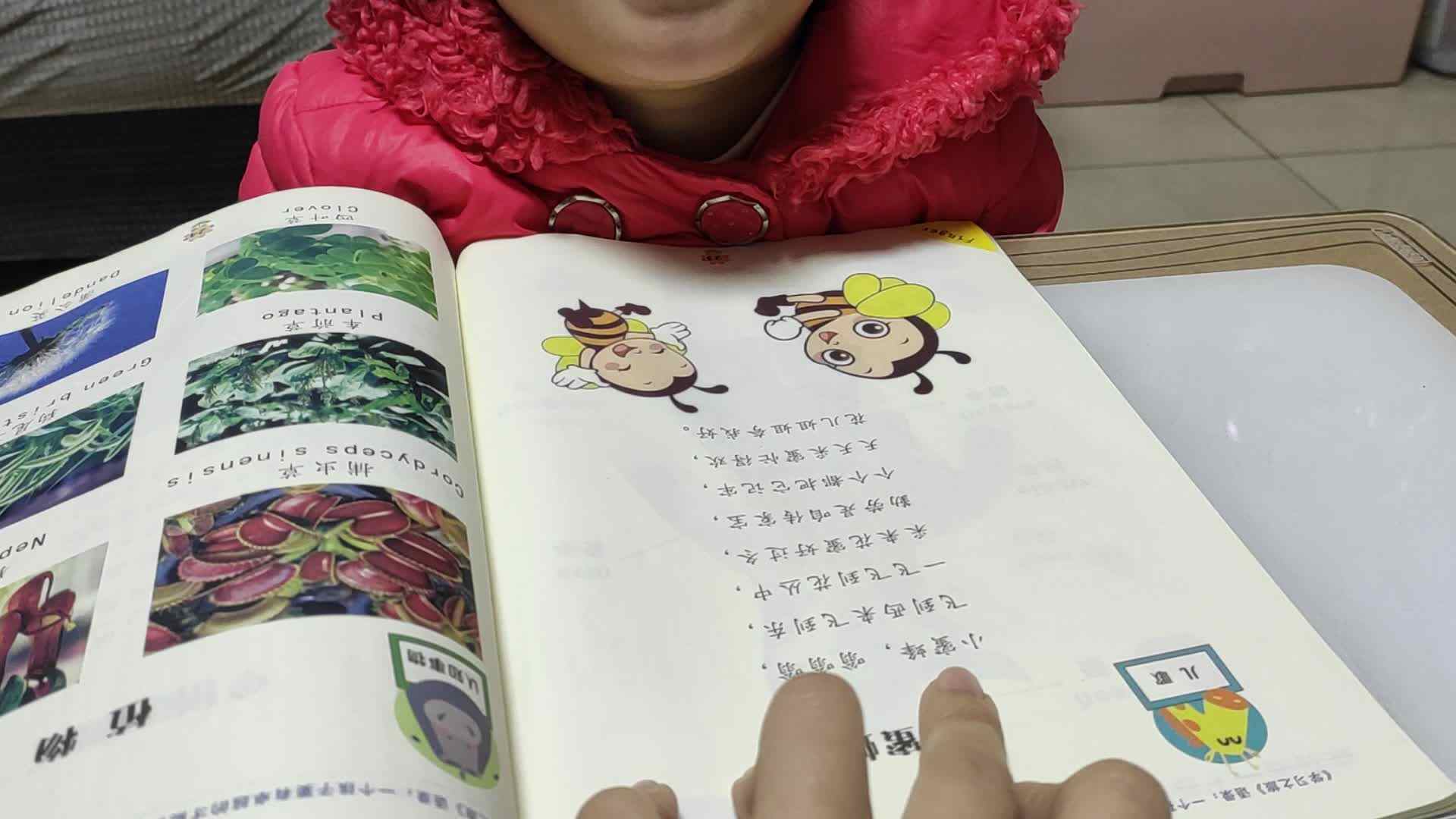 12月10日《小蜜蜂》宋晓雨