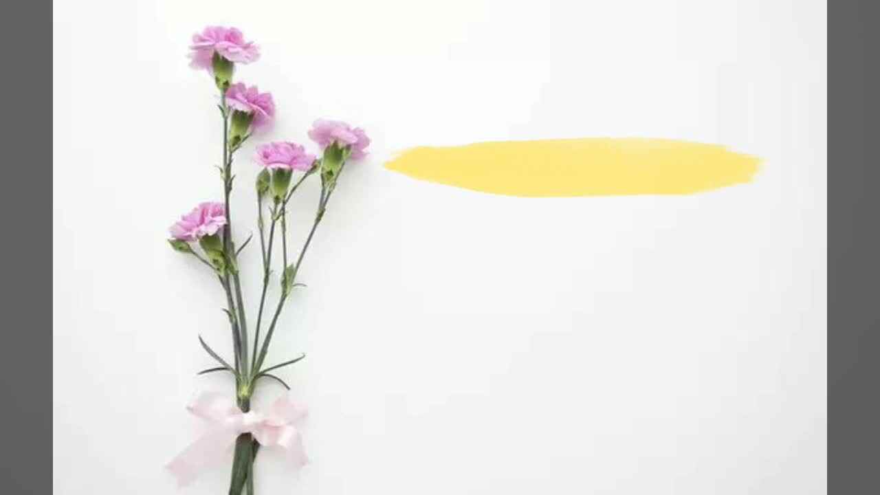 三八妇女节