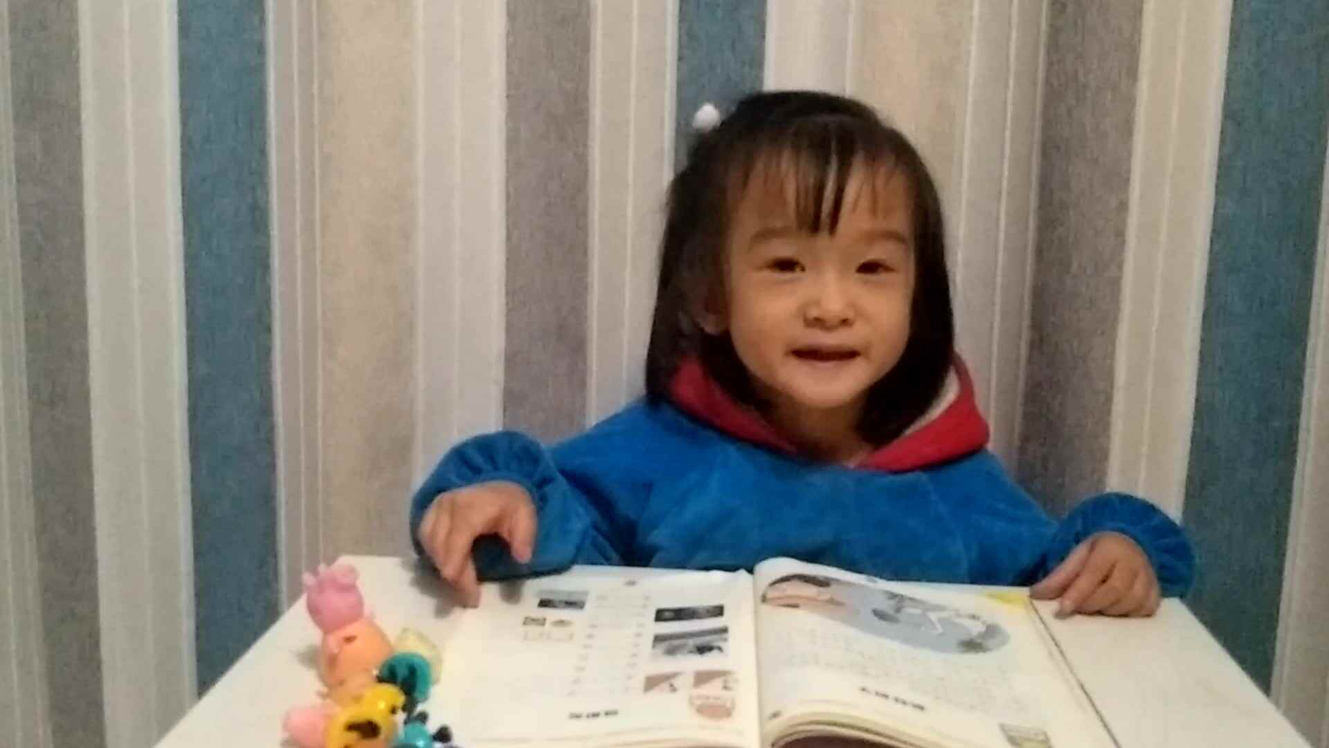 鹬蚌相争.mp4