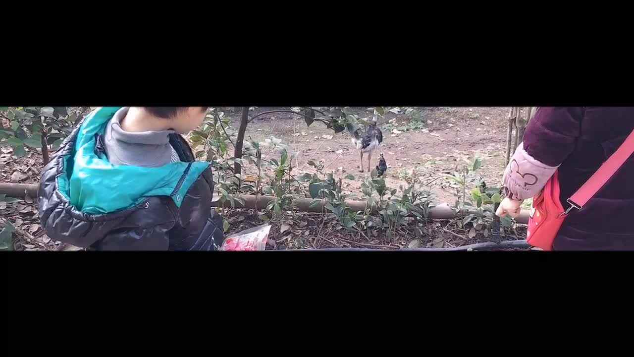 20191229大A班杨寓翔周末时光