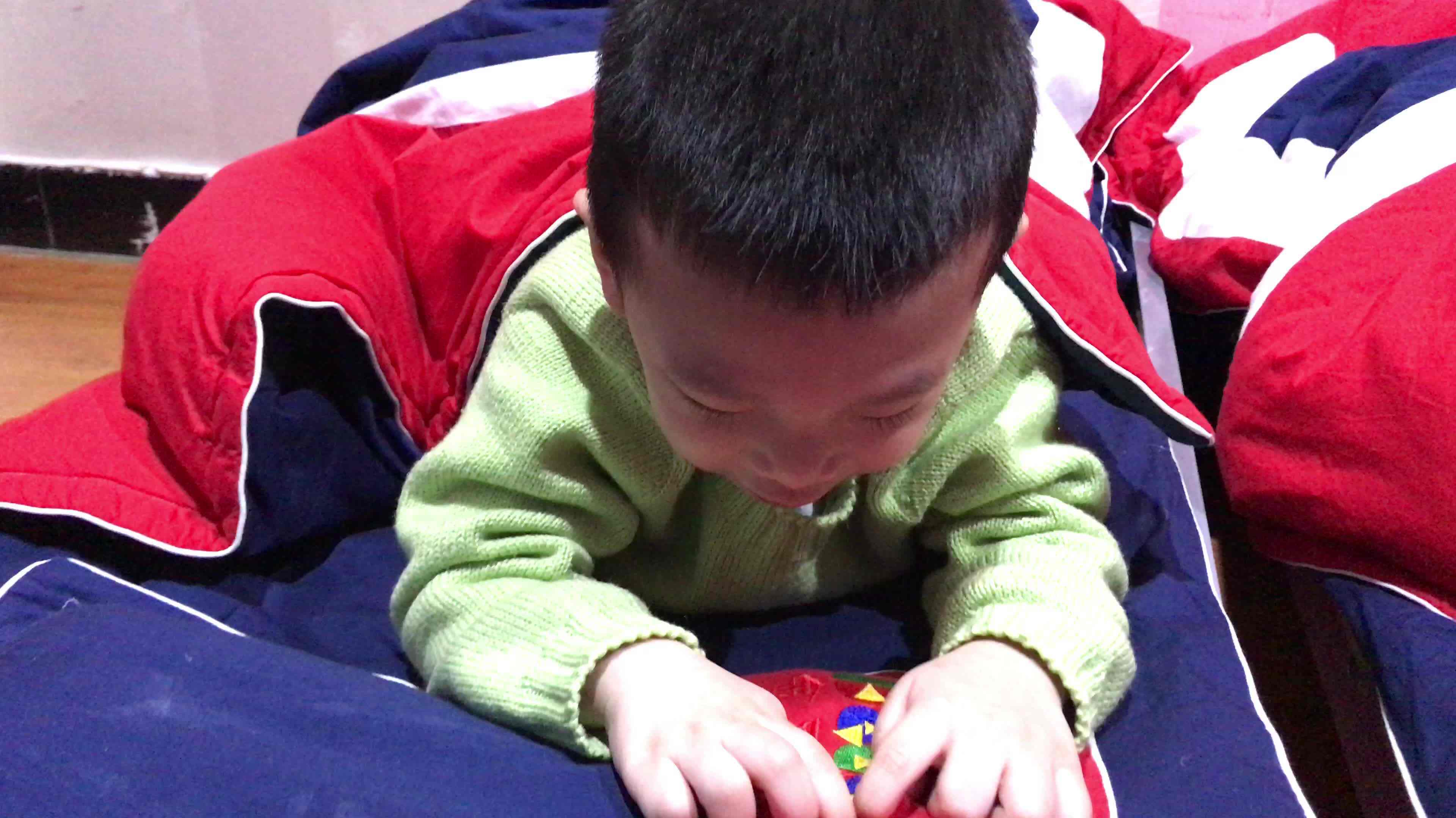 语言4