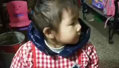 小A班郑雯丹小黄鸭