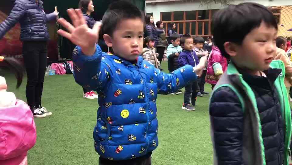 看我做早操