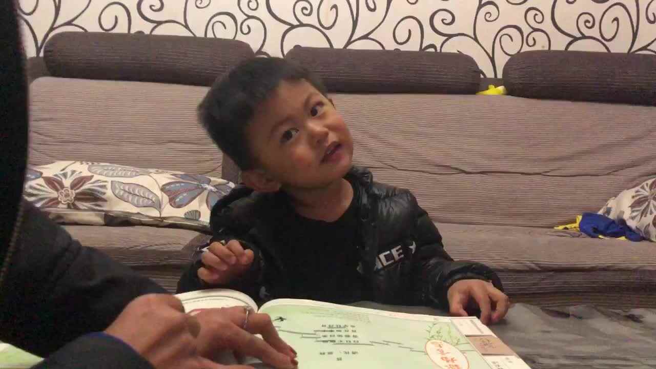12.4《苔》丁陈一