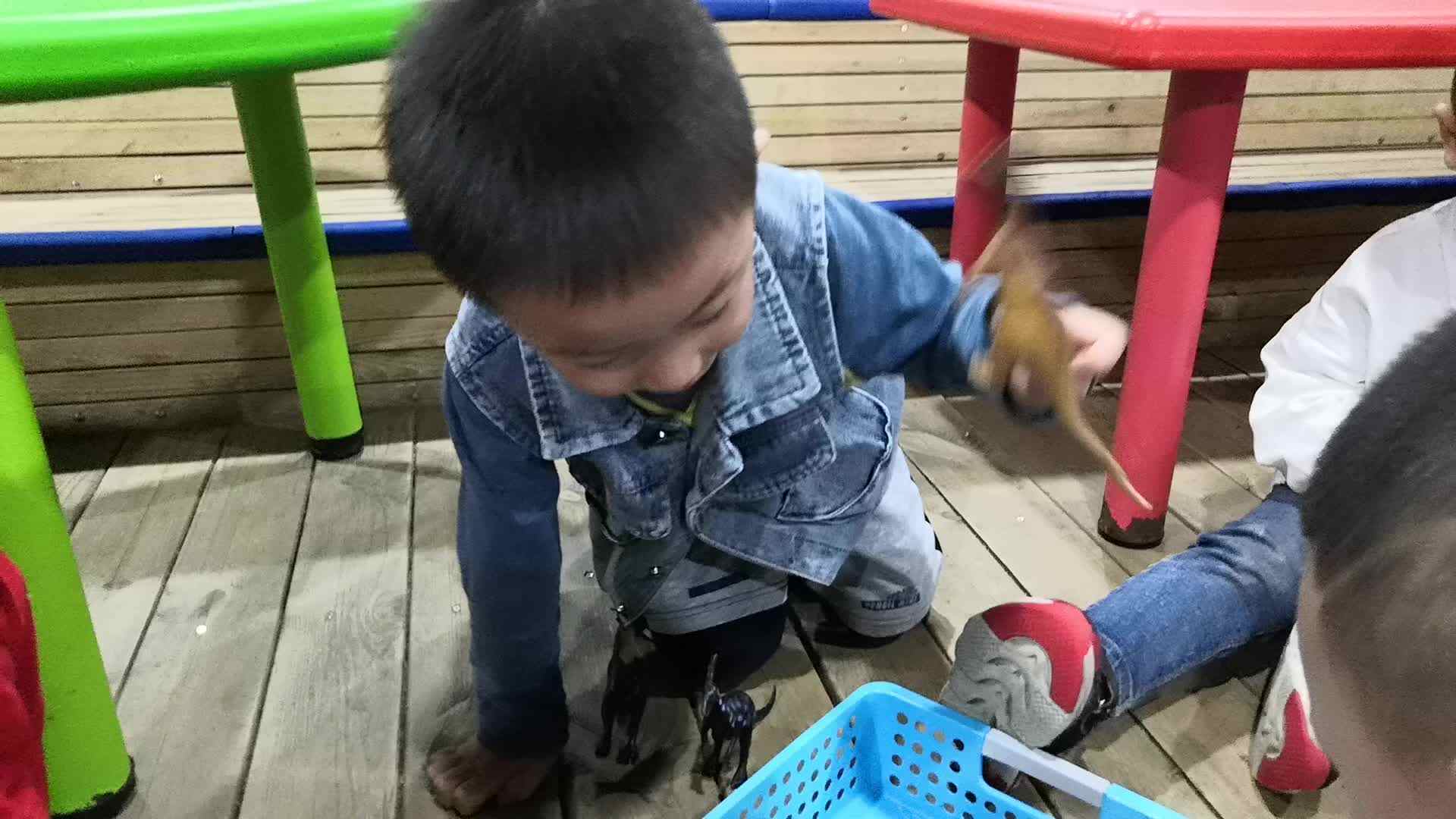 故事